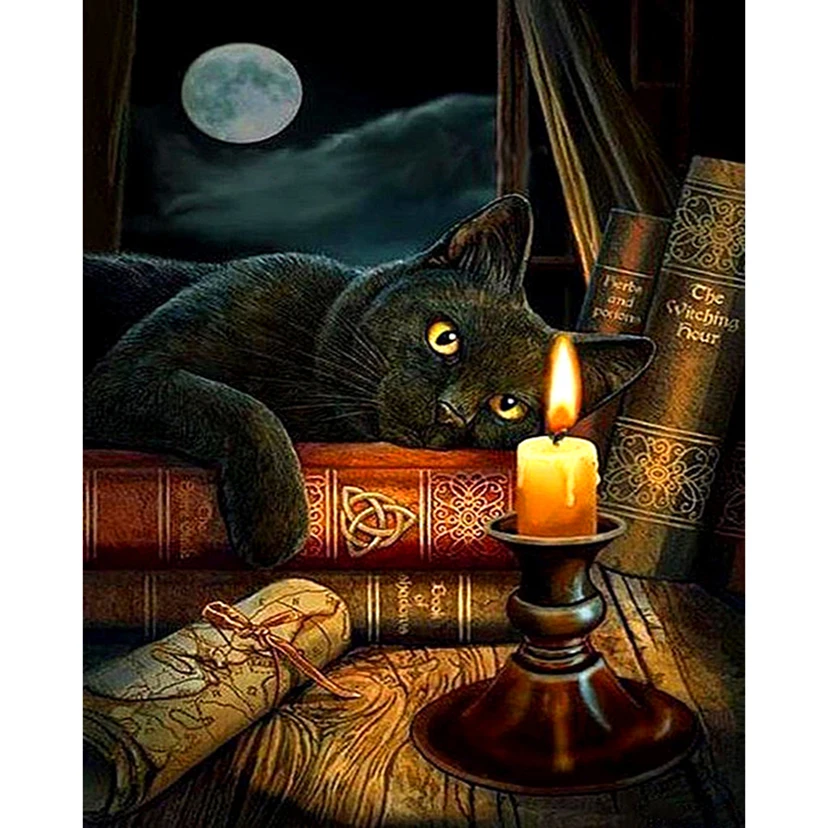 

Candle Animal black cat Diamond Embroidery Kits 5D DIY Diamond Painting Cross Stitch Full square Rhinestone Mosaic