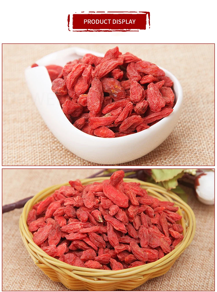 High Quality 100% Pure Natural Fresh Dried Organic Chinese Gouqi Berry Organic/ Lycium / Wolfberry