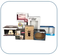 paste-pic-dp_uuid_8fzre