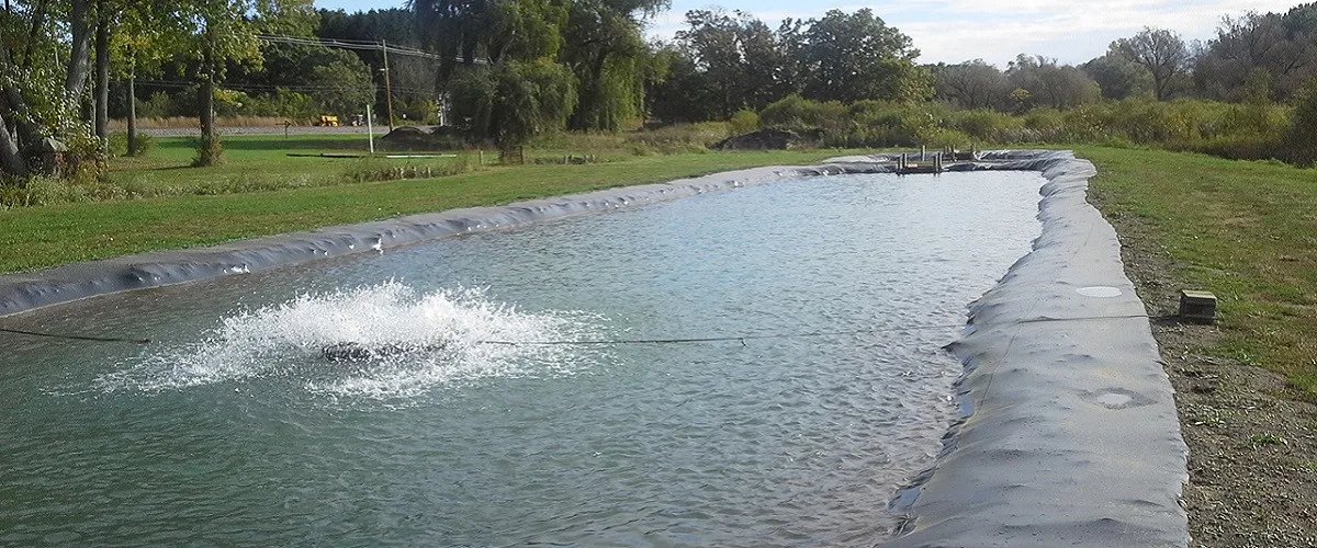 HDPE Geomembrane Pond Liner