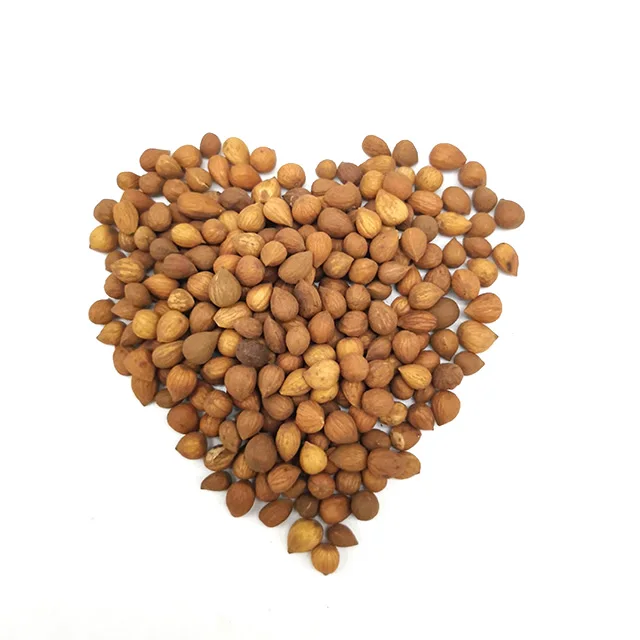 
GMP Factory supply Chinese Bushberry seed 