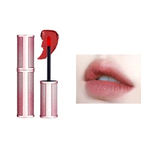 

Custom Women Lip Gloss Fashion Matte Lipstick Matte Lip Gloss