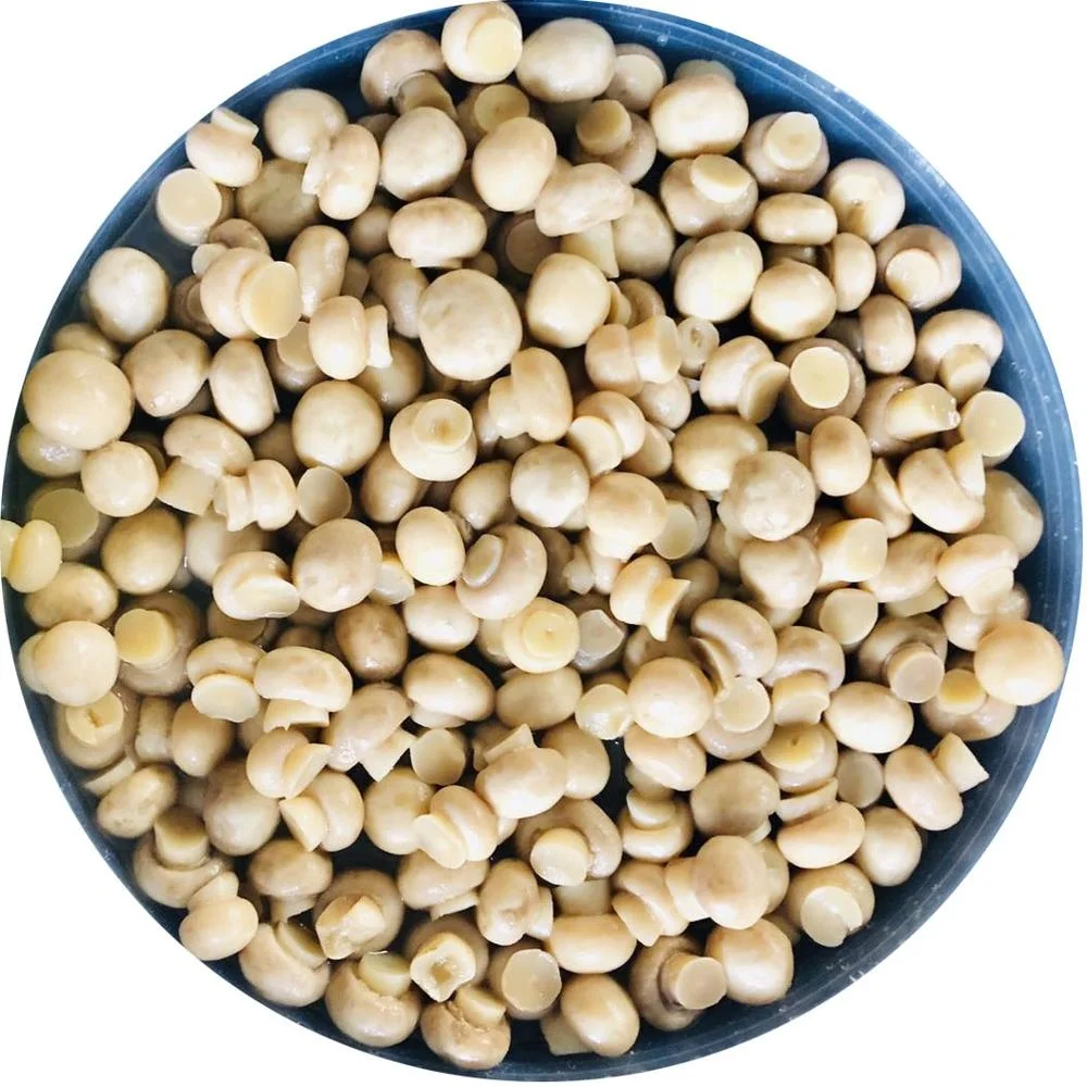 
New crop fresh mushroom in brine 