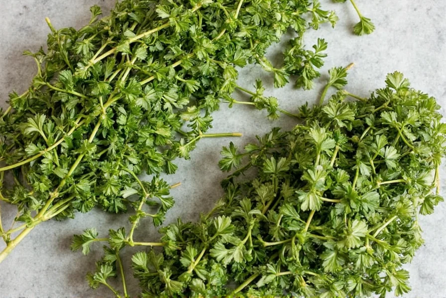 Spice Garden Mediterranean Oregano bottle