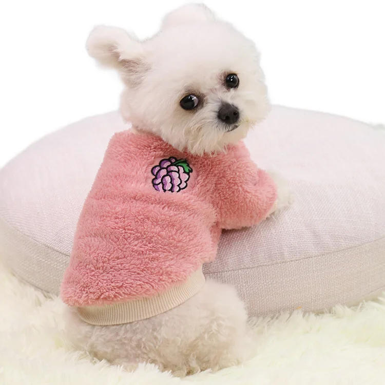 

2021 fleece warm embroidery with ribbon bottom small dog cloth
