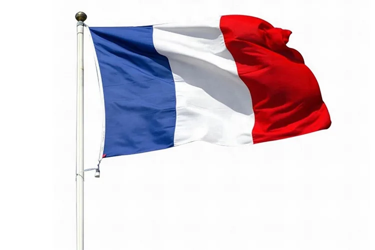 custom size all countries of the world flag france national day