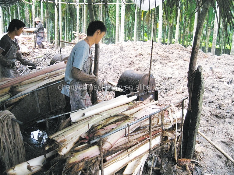 Pineapple Fiber Processing Extracting Machine Sisal Jute Hemp Flax Fiber Scraper Buy Pineapple