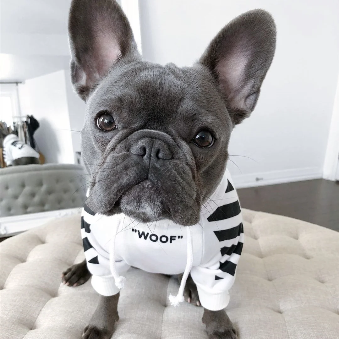 

Wholesale Fashion Polyester Dog Winter Coat Woof Puppy Pet Dog Hoodie Dog Clothes