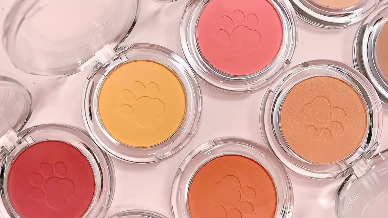 waterproof powder private label cheek makeup 10 color blush