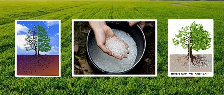 special super absorbent polymer sap biodegradable polymer for