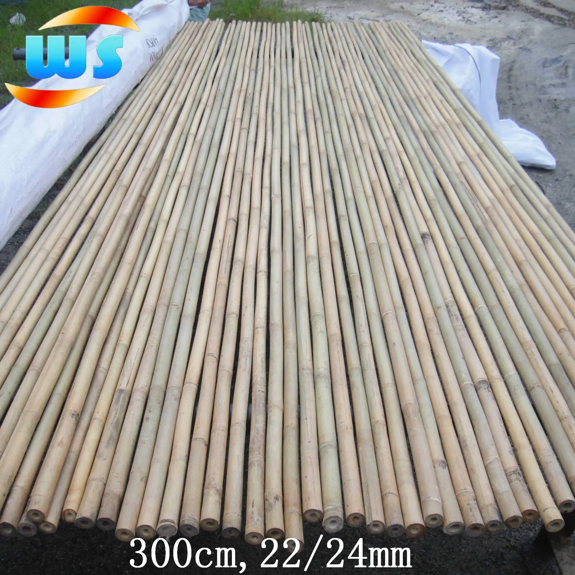 
Bamboo cane bamboo pole bamboo stake for Agriculture botanical garden 
