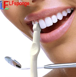 PET-teeth-kit_02.jpg