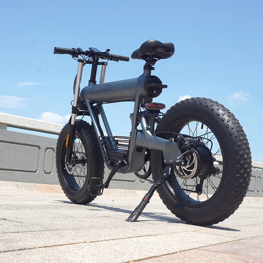 

COSWHEEL E BIKE T20 Fat Bike Electric Adults 500W 48V Electric City Bike