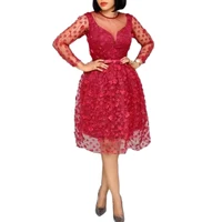 

Long Sleeve Mesh Appliques Lace Printer 3D Machinery African Dresses Women