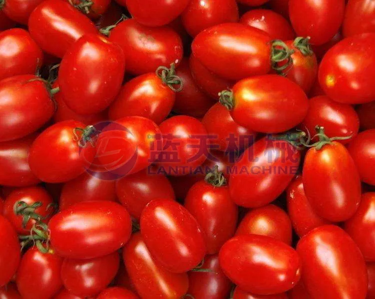 
Widely used tomato drying machine/tomato drying equipment tomato dryer production line 