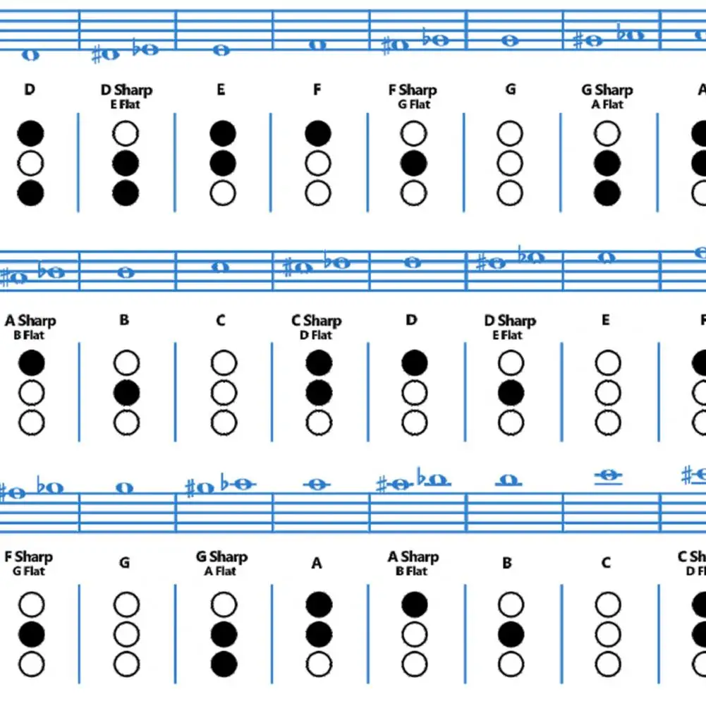 

Useful Illustrated Trumpet Fingering Chart Refreshing Color Trumpet Finger Chart Clear Illustration for Learning