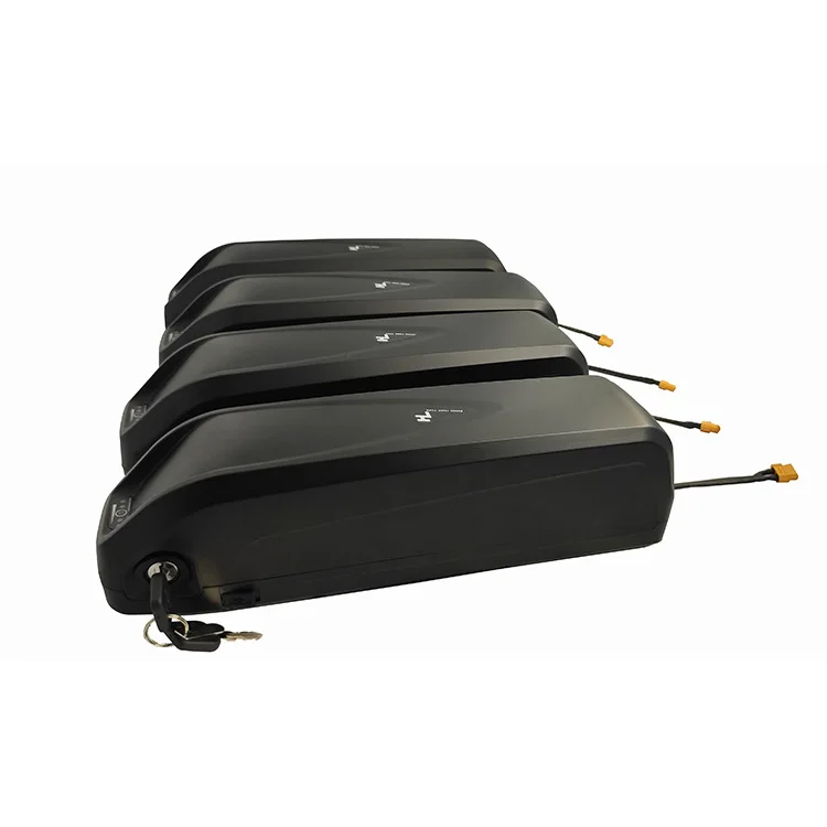 

Hailong Frame Battery 36 V 17.5Ah 630 Wh Pedelec E-Bike Lithium Ion Battery with BMS and Charger