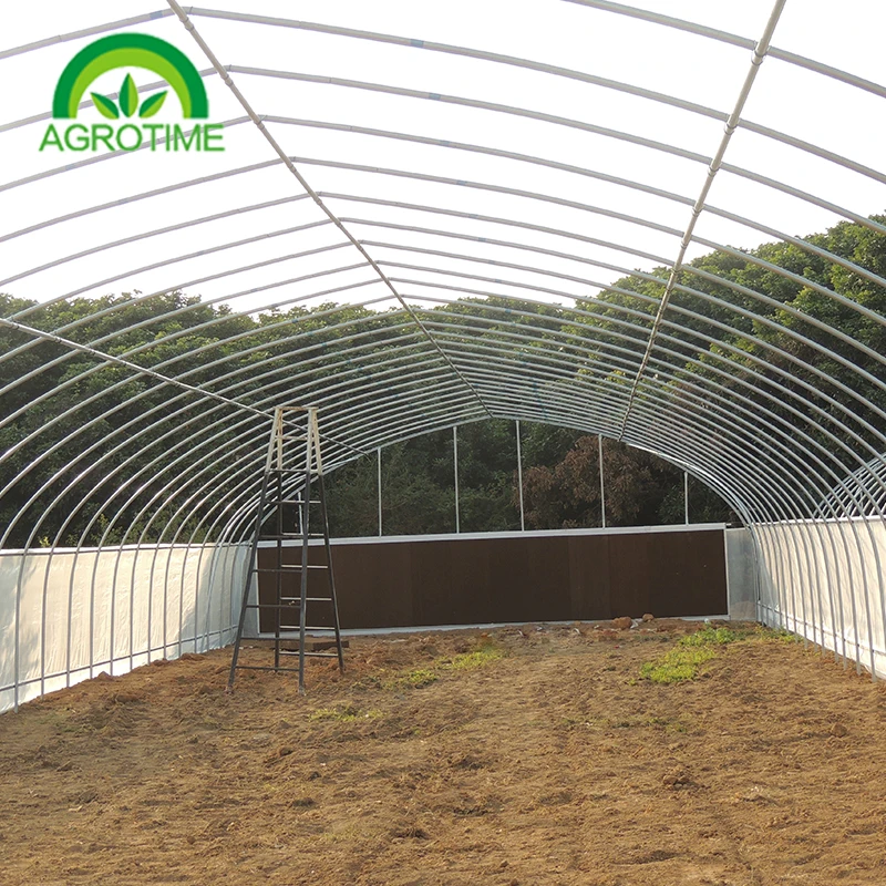 
low cost Conveniently polytunnel greenhouse with Excellent strength for agriculture 