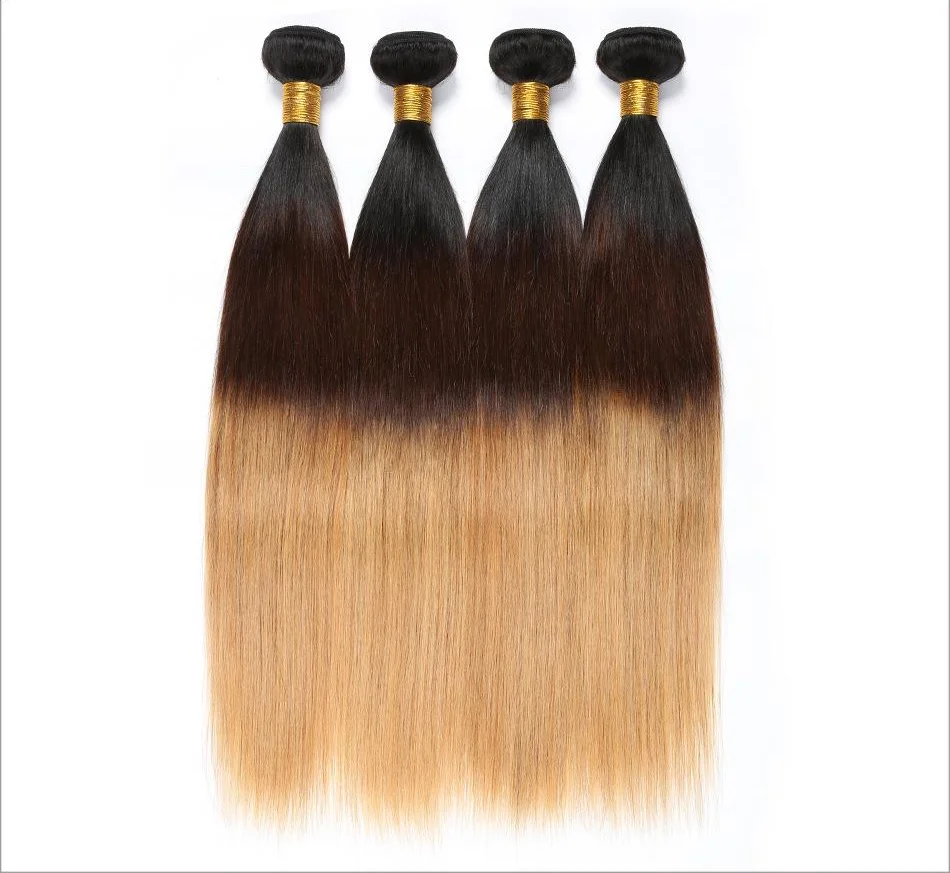 

Ombre Brazilian Straight Hair Bundles with Closure Human Hair Bundles With Lace Closure T1B/30 Black to Brown Auburn Human Hair