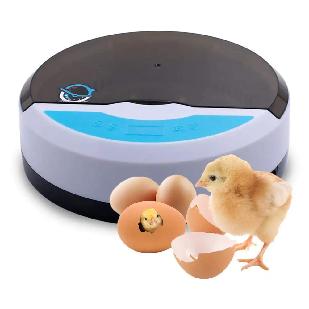 

HHD brand factory direct sale YZ9-9 chicken incubator price egg incubator