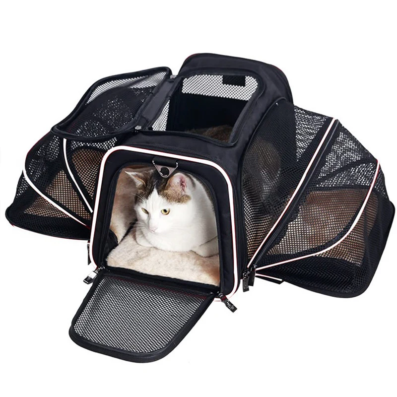 

Foldable Expandable Luxury Transparent Cat Small Dog Carrier Travel Bag For Pet, Blue/green