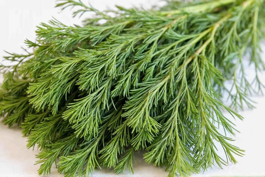 Bottle of dried dill on a wooden table