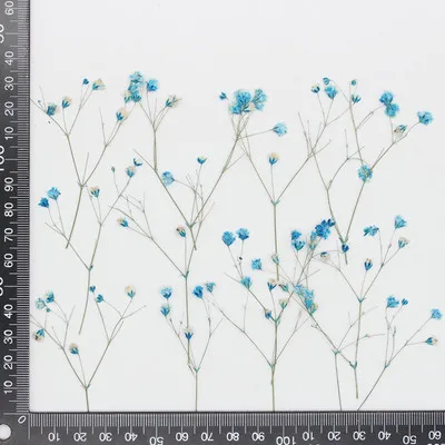 Babysbreath turquoise.jpg