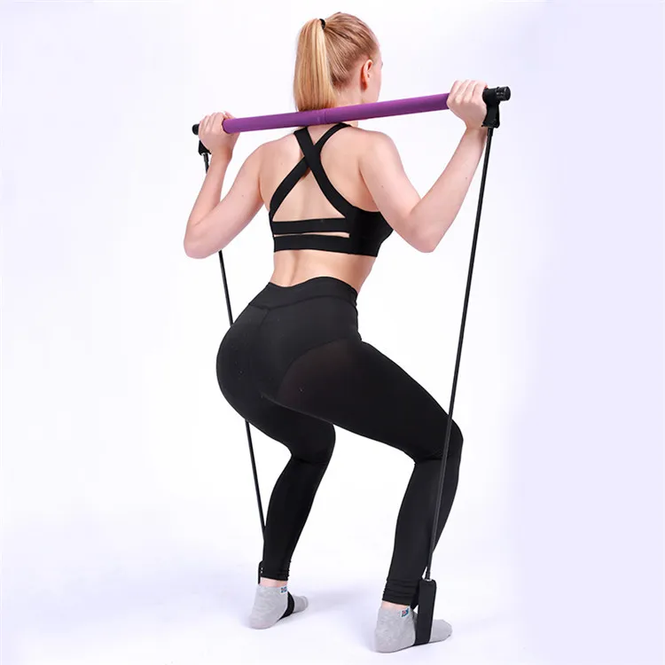 

Resistance Portable Muscle Bar Kit Gym Exercise Pilates Resistance Stick, Purple