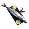 Good quality frozen spanish mackerel fish prices