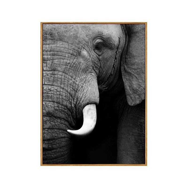 

Animal Canvas Painting Home Printing Wall Art Eco Friendly Stretched Ready to Hang for Bedroom Dinning Room, Cmyk