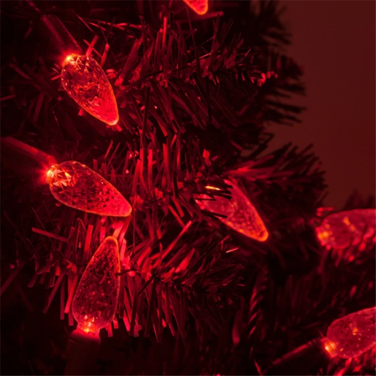 C6 string light.09.jpg