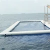 Hot Sale For Adult Sea Pool Inflatable Swimming Pool With Net