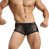 

Nylon sexy transparent briefs men low rise lace underwear