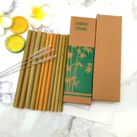 

High Quality Reusable Natural Bamboo Straw Biodegradable Bamboo Drinking Straw Set