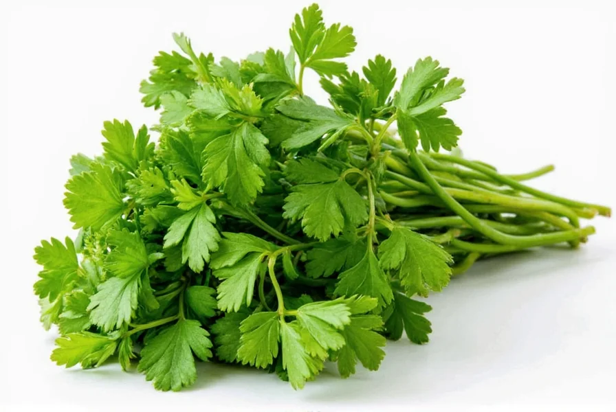 Parsley Mastery