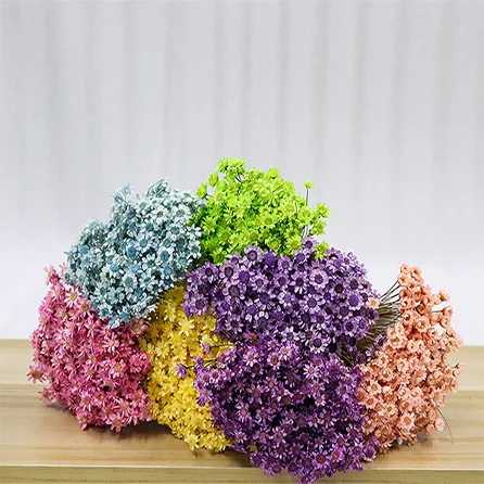 巴西小星花装饰干花星星花礼品