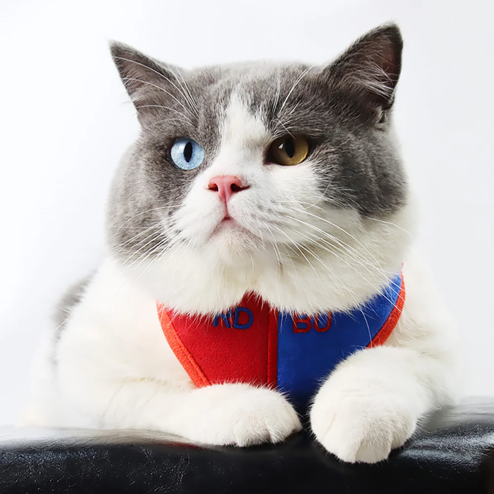 

Colorful cat harness and leash set for walking cat dog adjustable harness