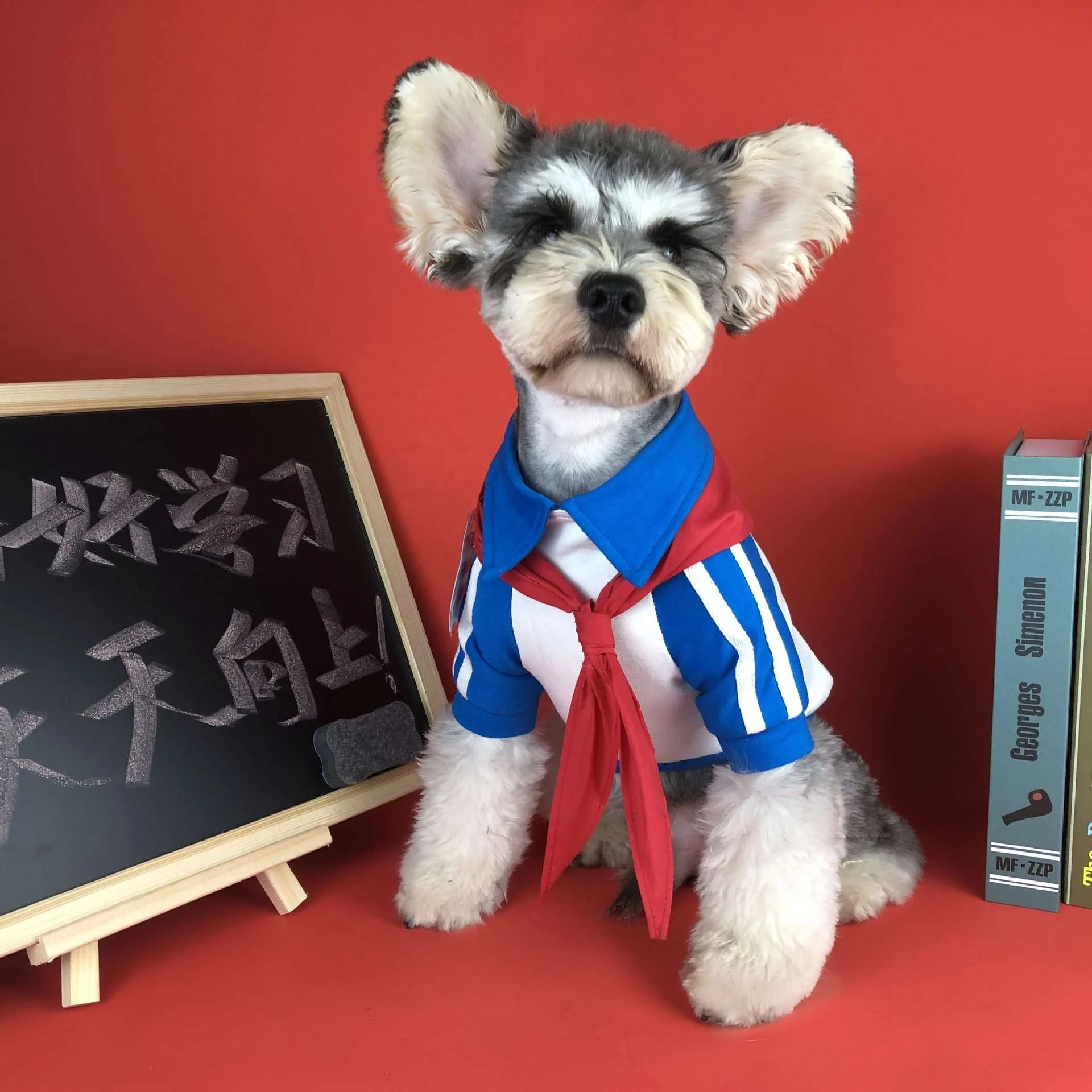 

Dog Clothes Spring School Uniform Cat Clothes Jhsport