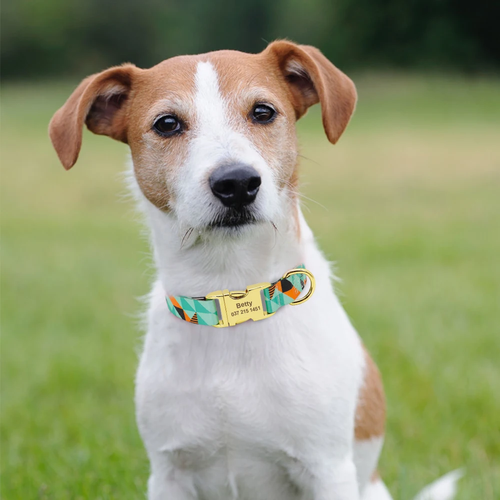 

Fashion Custom Dog Collar Nylon Print Personalized Pet Collar Puppy Dog ID Collars Free Engraved ID for Small Medium Large Dogs