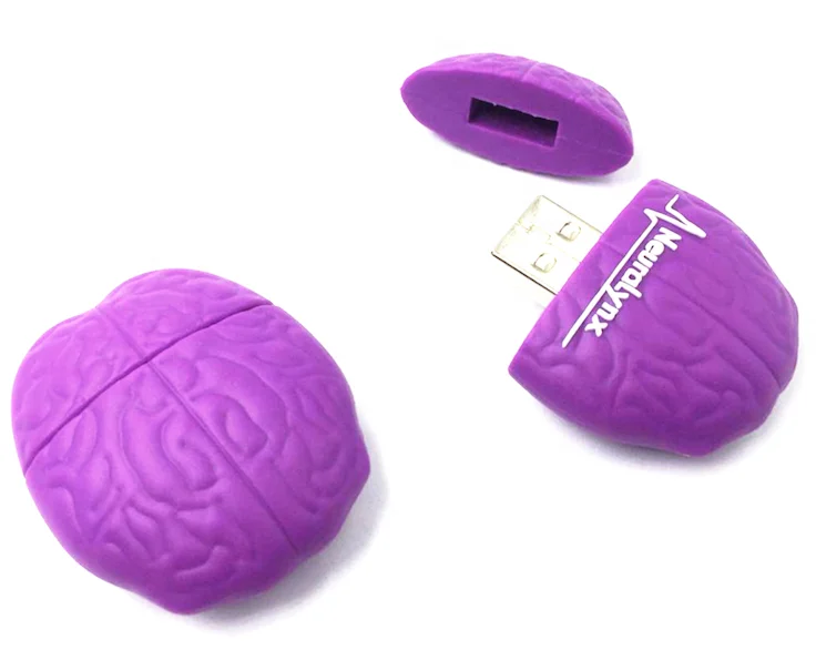 Brain Usb Flash Drive,Human Organ Shaped Usb Custom Brain Usb Stick 2.0