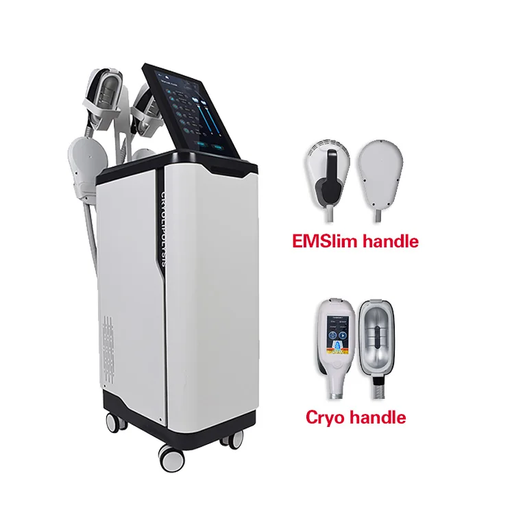 

Hot Sale High Quality Weight Loss Beauty Salon Equipment Non-Invasive Fat Freezing & EMS Body Slimming Fat Removal Machine