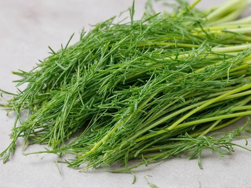 Best Dill Substitutes: Practical Herb Alternatives for Cooking