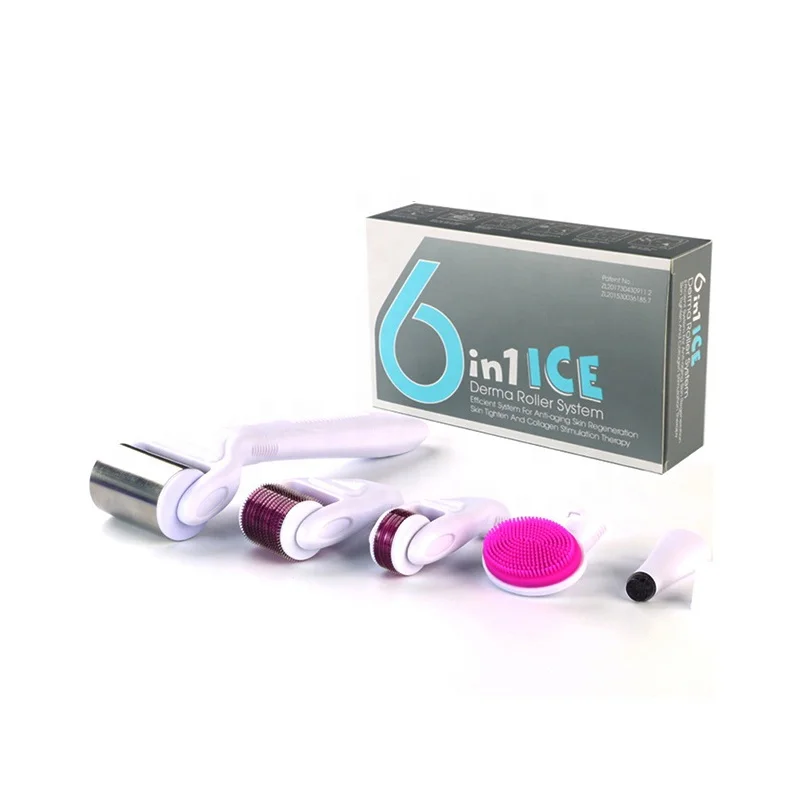 

6 in 1 Ice Derma Roller Kit Microneedle Derma Roller System