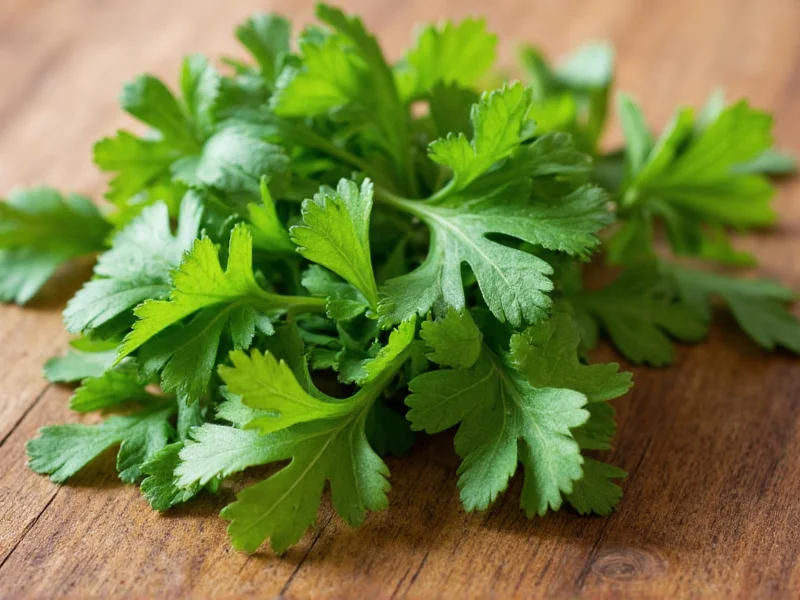 Is Cilantro a Spice? The Clear Culinary Classification