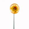 Customized Duck Design Lollipop with Stick