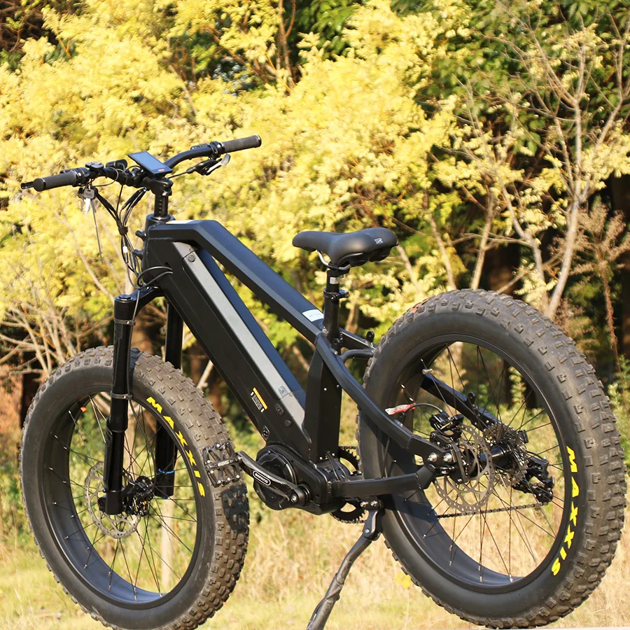 

Fat tire electric bike 1000w fat tire ebike mountain electric bicycle with dual battery