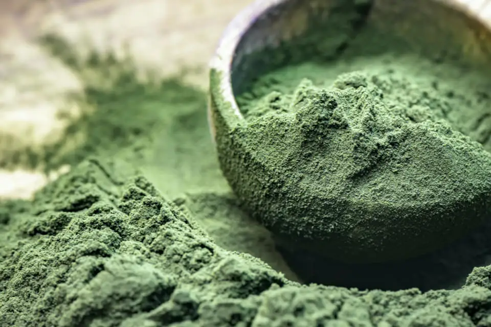 热销海藻粉小球藻改善脂质代谢