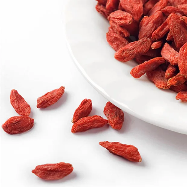 
High Quality 100% Pure Natural Fresh Dried Organic Chinese Wolfberry/ Lycium / Goji berry organic 