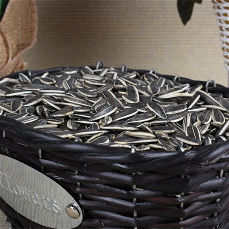 
ouji pure 361 ukraine sunflower seed growing 