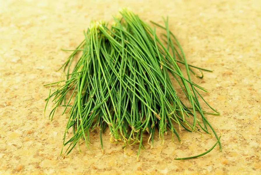 dehydrating chives a fresh twist on a classic herb and 10 hacks to master it